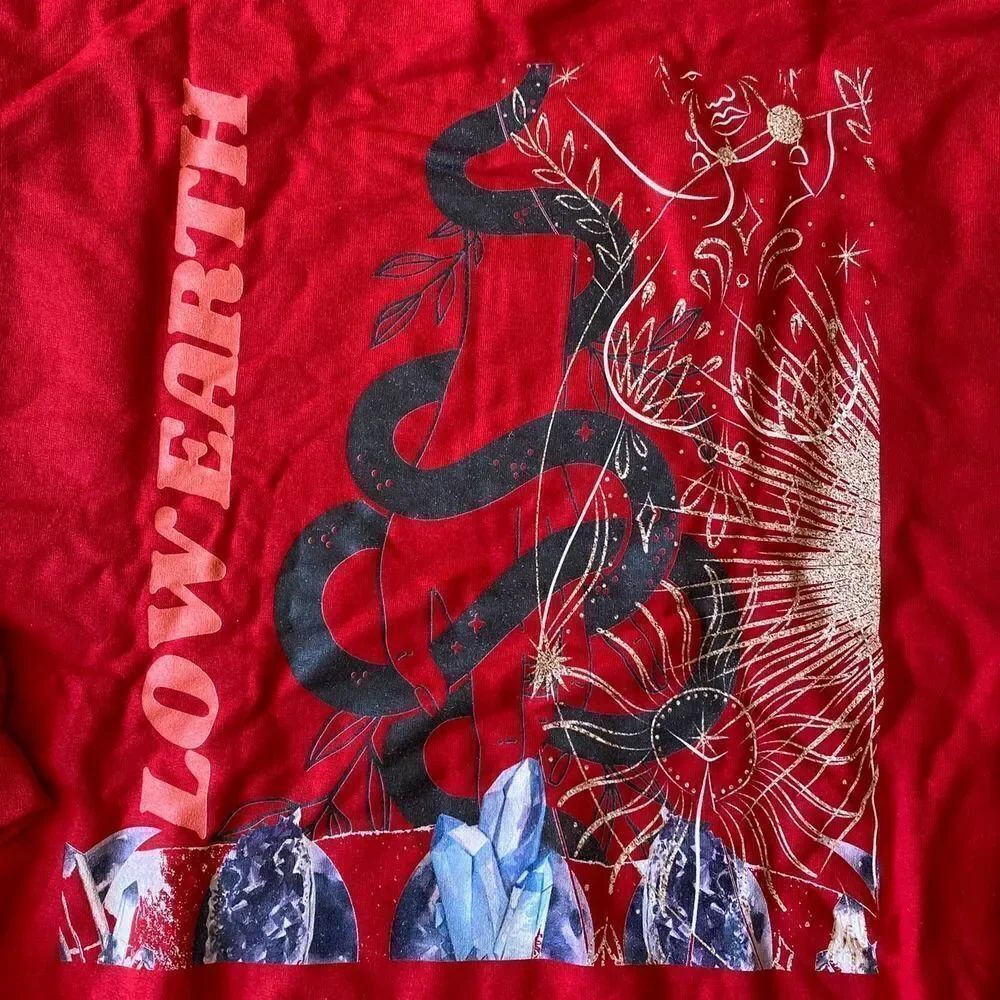 Low Earth Hoodie Red Large - Picture 5 of 5